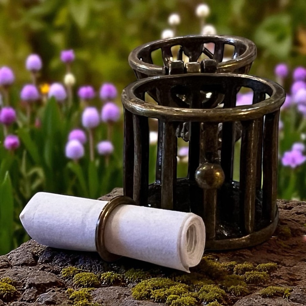 Miniature birdcage earrings with a paper scroll that you can write on